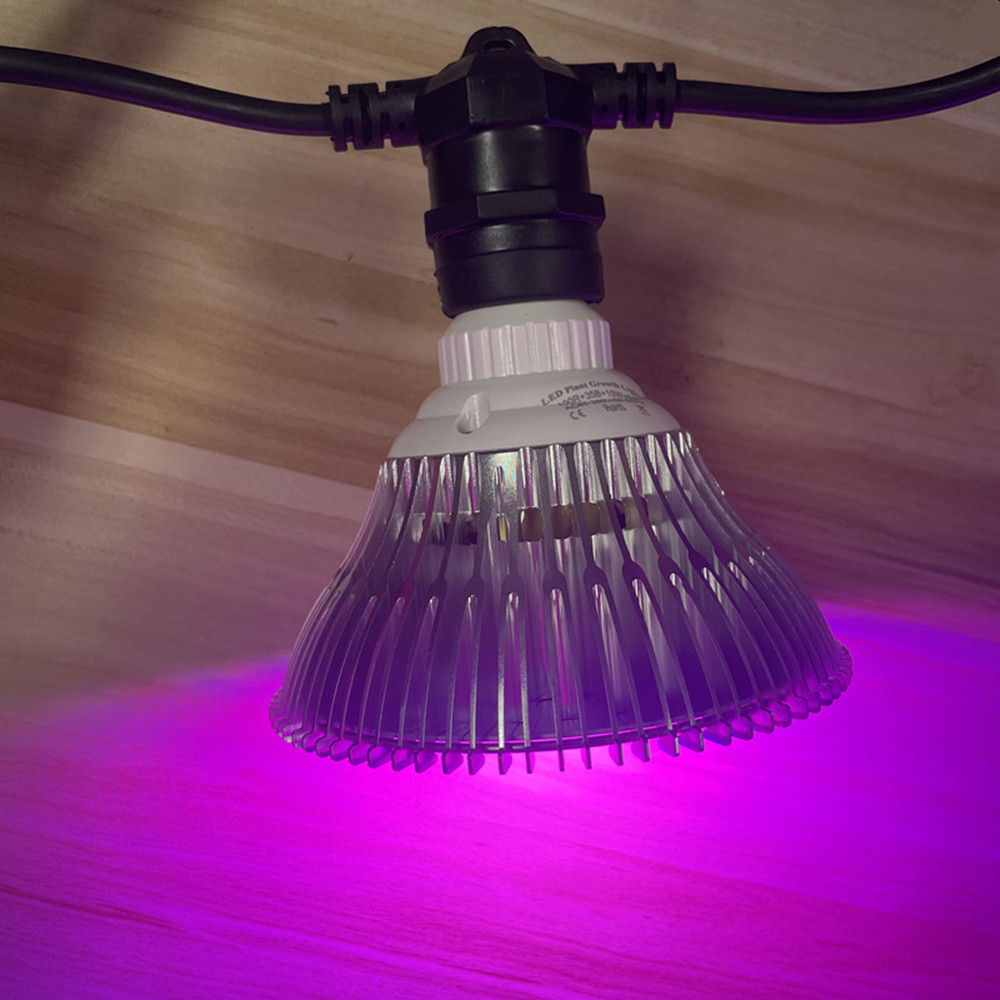10M Kablo LED Dize Işık Zincir - String Light Outdoor incelemesi ve fiyatı